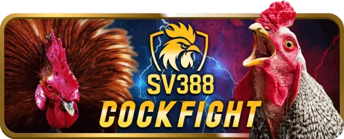 Tin tức thể thao và casino